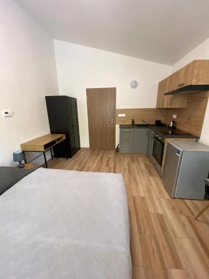 Cerna Ruze - Apartman 7 Plzeň Kültér fotó