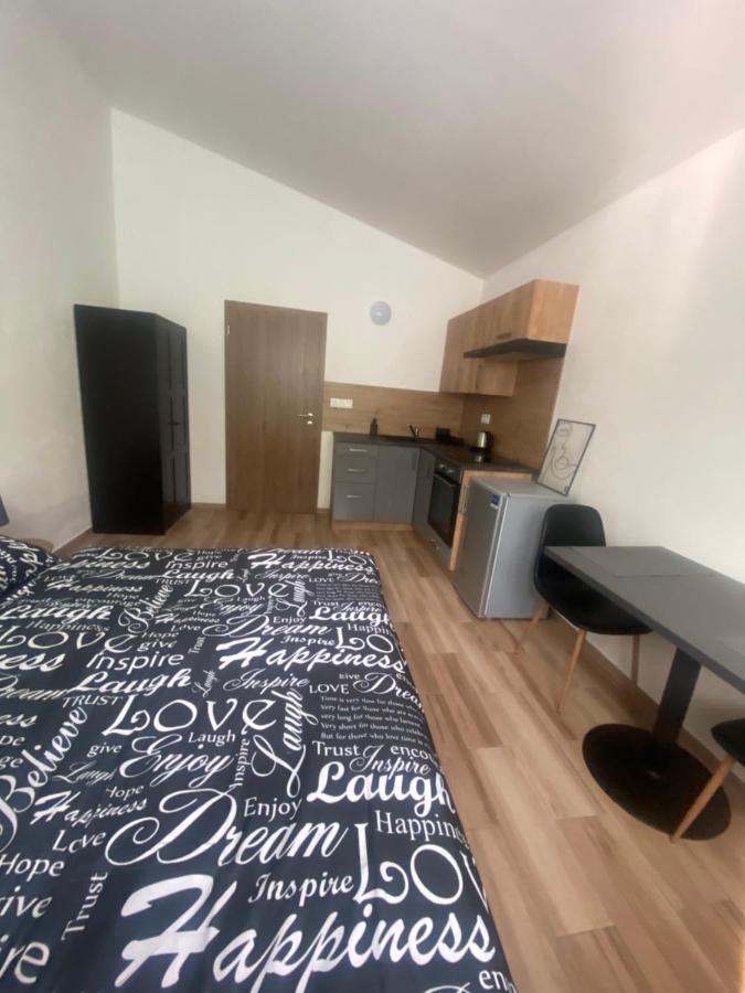 Cerna Ruze - Apartman 7 Plzeň Kültér fotó